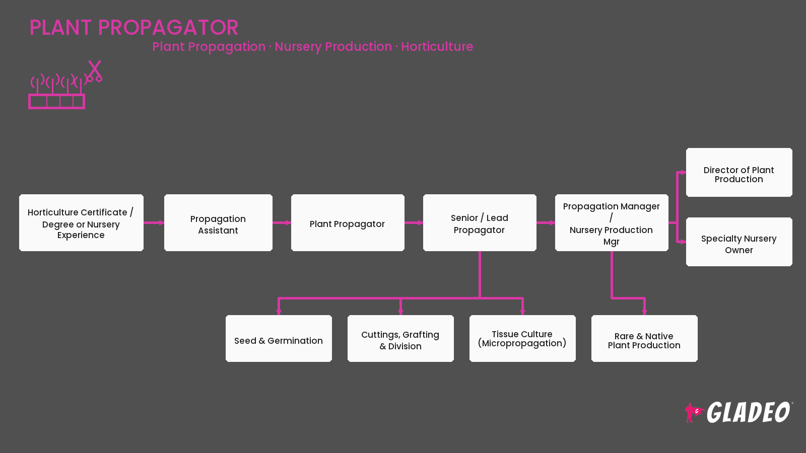 Plant Propagator